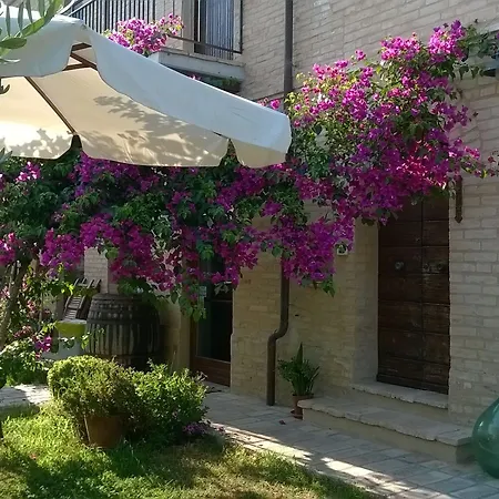 Bassari Отель Sambuceto (Pescara)