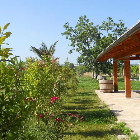 Bassari Sambuceto (Pescara)