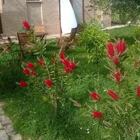 Bassari