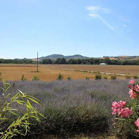 Bassari Sambuceto (Pescara)