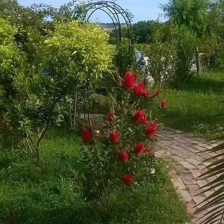 Bassari Sambuceto (Pescara)