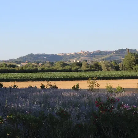 Отель Bassari Sambuceto (Pescara)