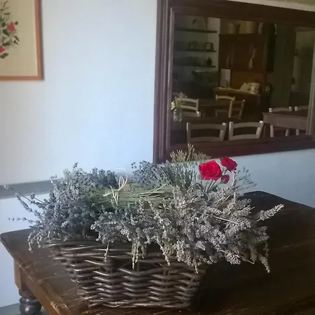 Hotel Bassari *