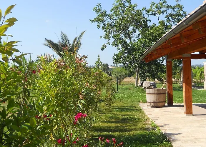 Bassari Sambuceto (Pescara)