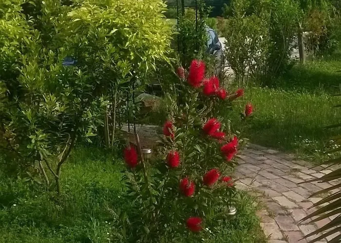 Bassari Sambuceto (Pescara)